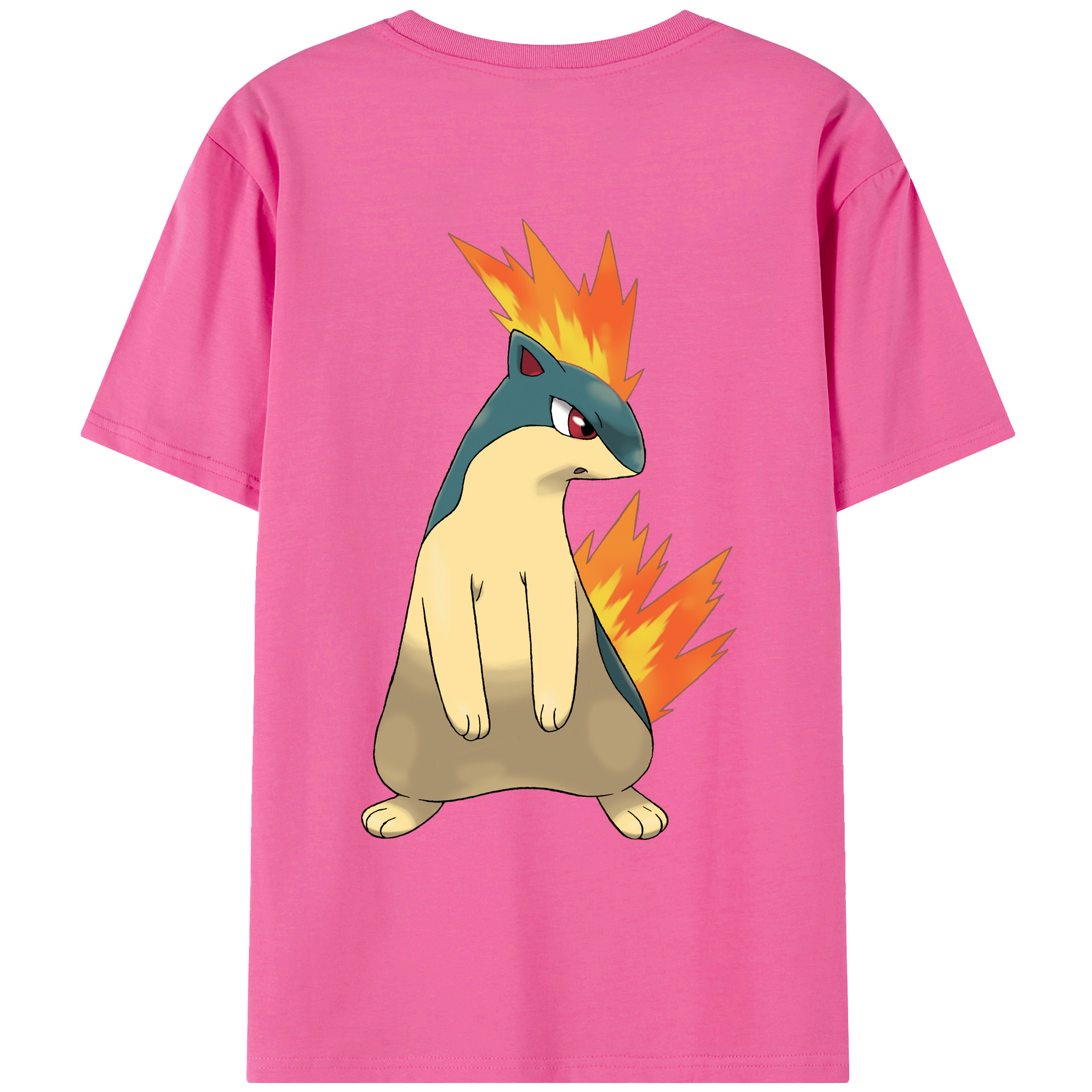 （画像用） ポケットモンスター Pokémon レディース半袖Tシャツ(バックプリント)
